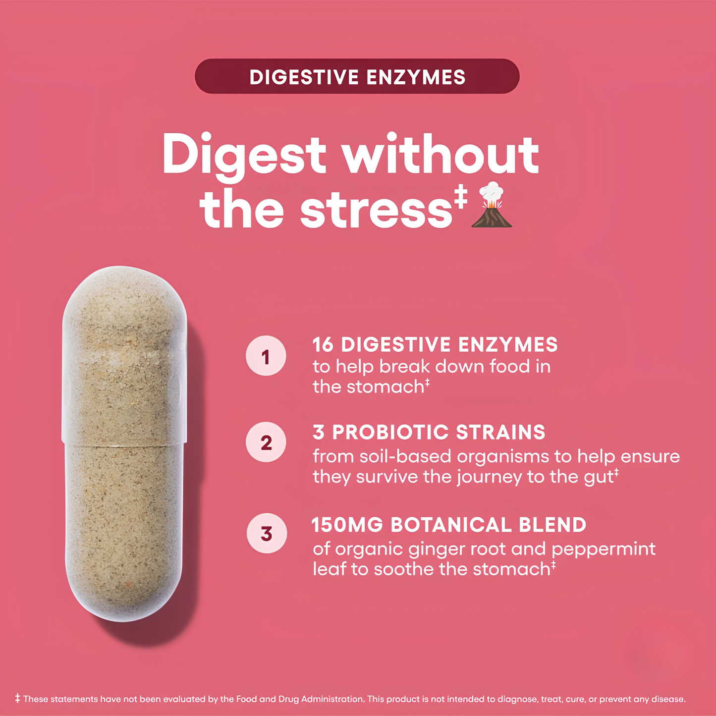 Boovelle™ Digestive Enzymes